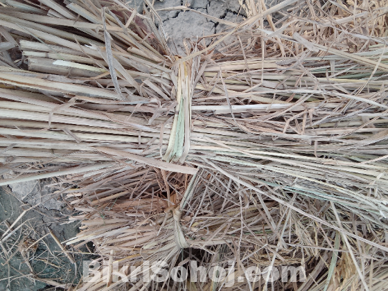 বিচেলী বিক্রি কম দামে